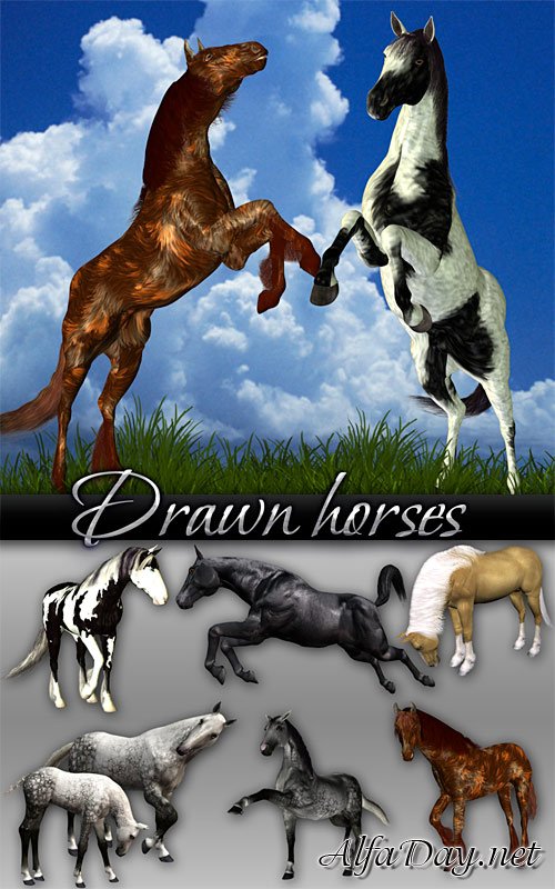Drawn horses