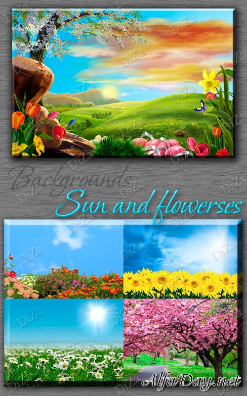 Backgrounds Sun and flowers