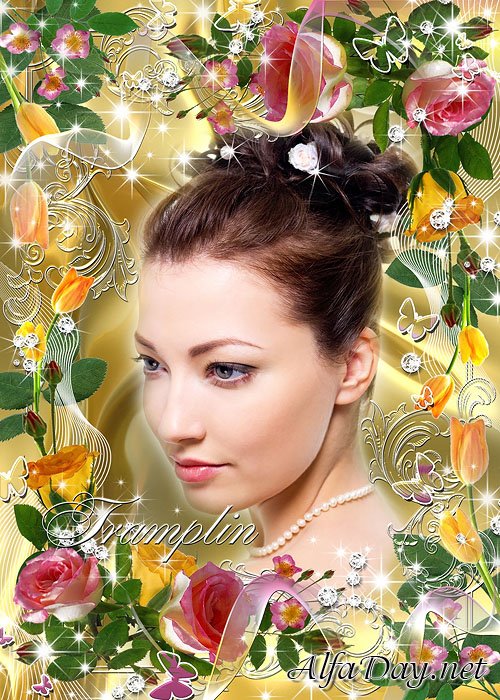 ��������� ����� ��� ���� � ������� ����, ������ ��������