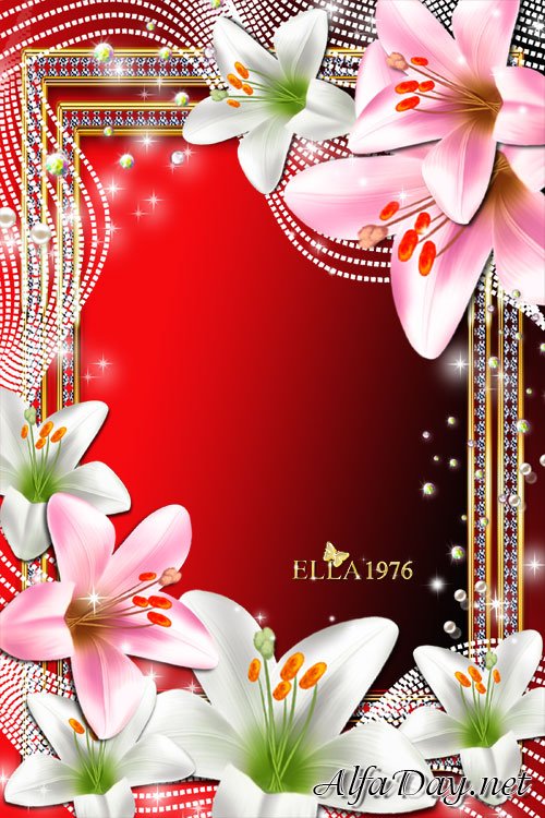 ��������� ����� ��� ���� - �������������� ��������� �����