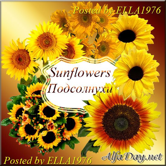 PSD ������� - ����������