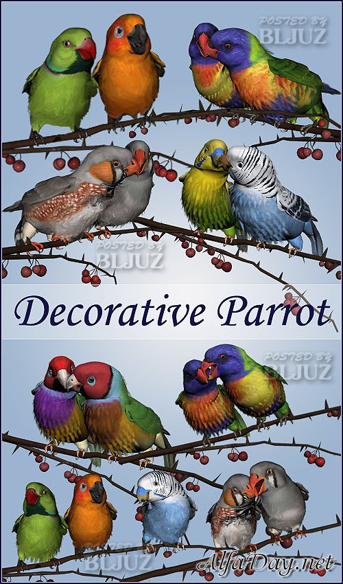 ������� PNG - ������� / Decorative Parrot