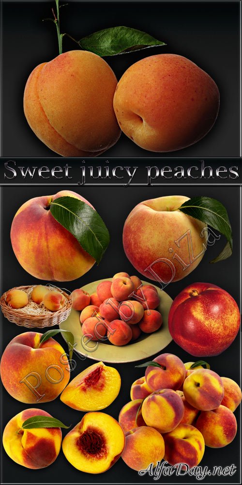 Sweet juicy peaches - ������� ������ ������� - ������� png