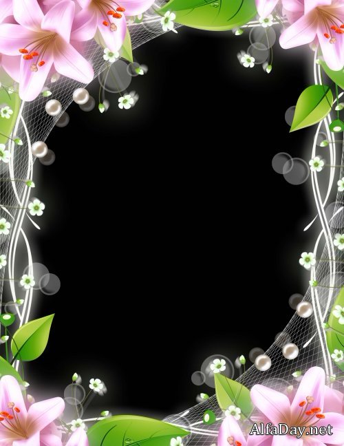 ������� ��� �������� � ��������