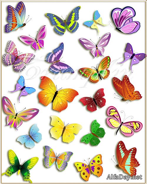 ������� � ������������ �������