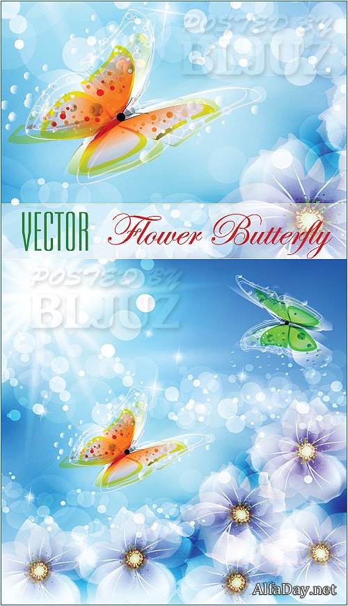 ��������� ������� : �������� ��������� ���� - �����, �������