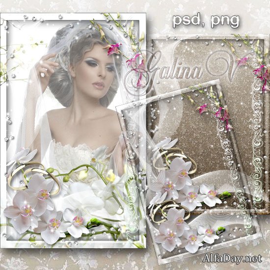 ��������� ����� ��� ���� - ����������� �������