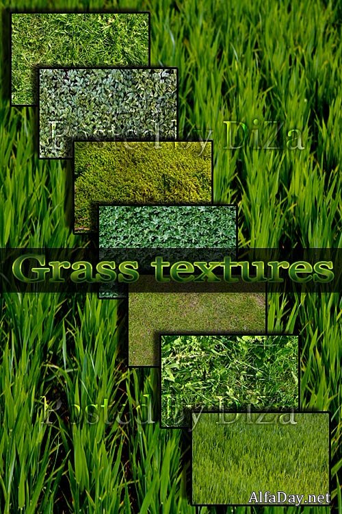 Grass textures - �������� �����