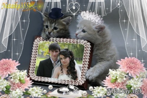 ��������� ��� ���������� ������� - �������� ����� � �������