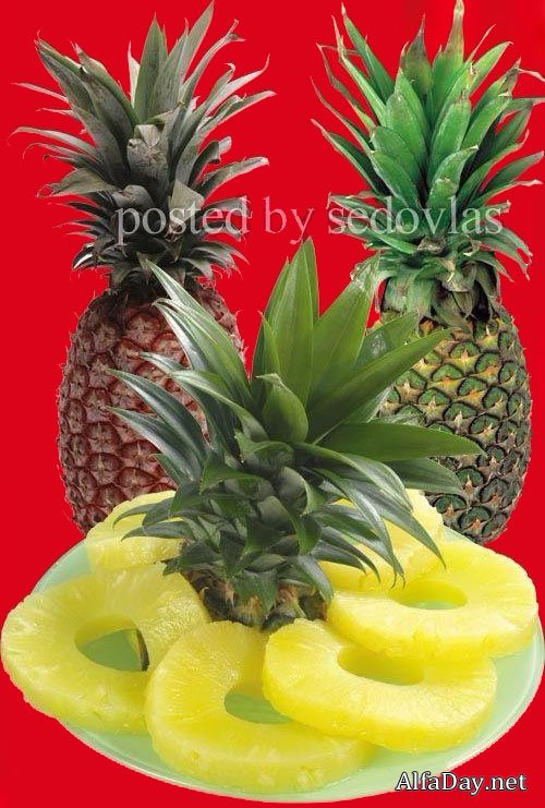 ������� PNG - ������