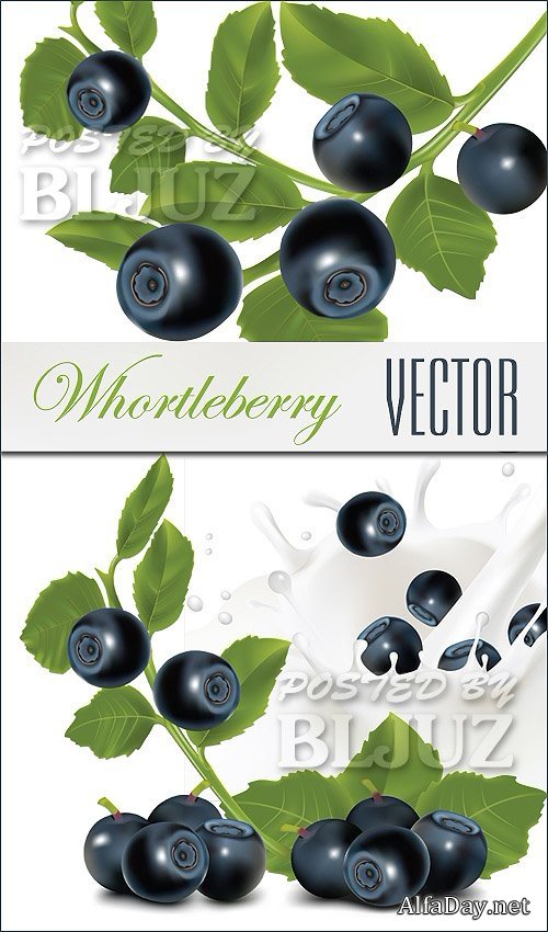 ��������� ������� - ������� �� ��������