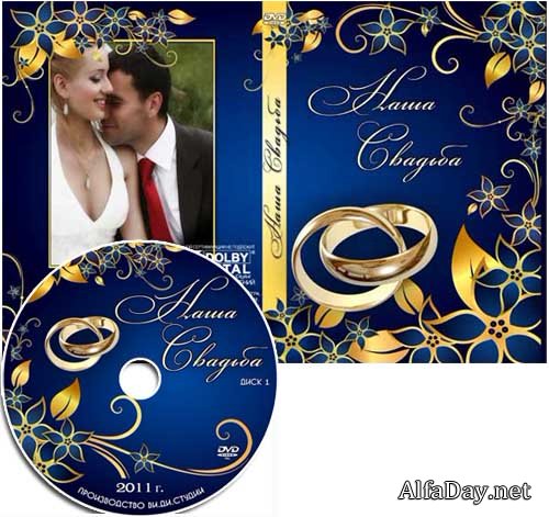 ��������� ������� ��� DVD-����� - �������!