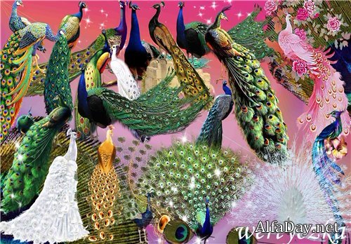 PSD �������