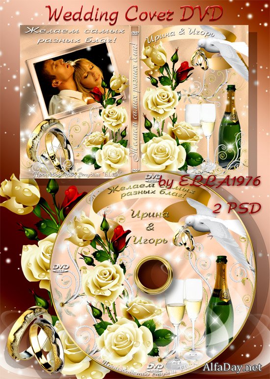 ��������� ������� DVD � ������� �� ���� - ������ ����� ������ ����