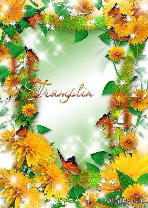 ��������  ����� � ����������, ����������