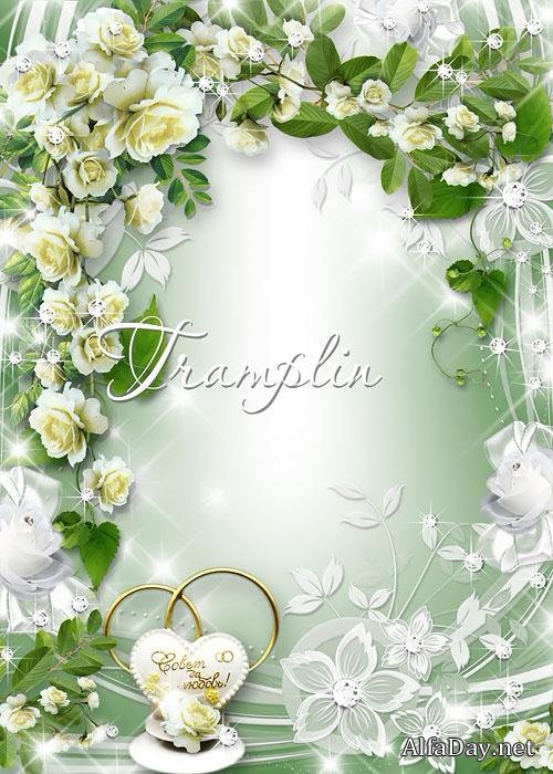 ��������� ����� � ������ ��� ������ ����� ������ � ������