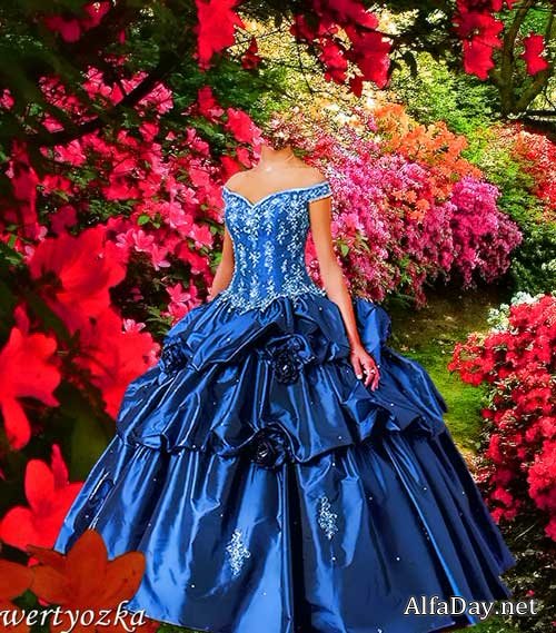 ������� ������ - ������� � �������� ����