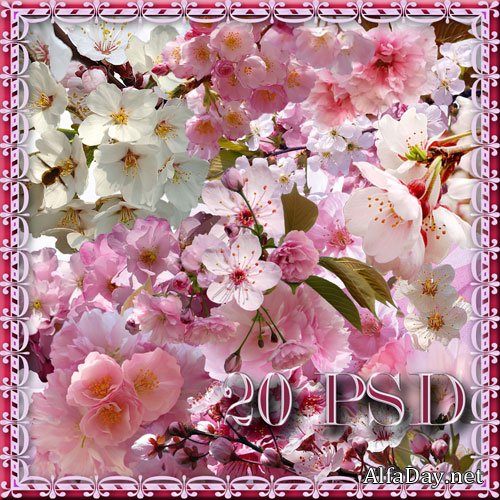 �������  � ������, ��������� � �������� ����, �������� ���