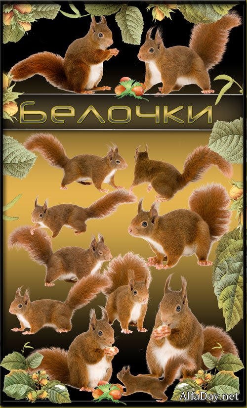 �������  � �������