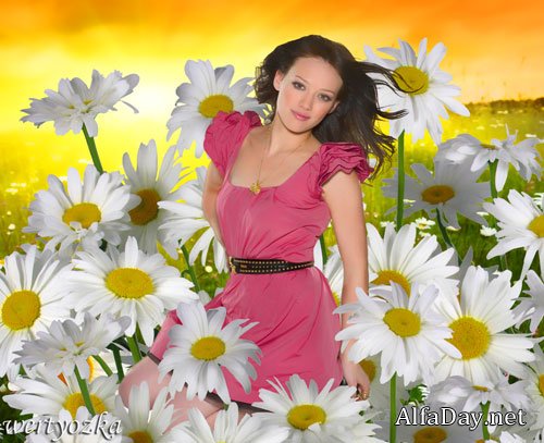 ������� ������ - ������� � ��������