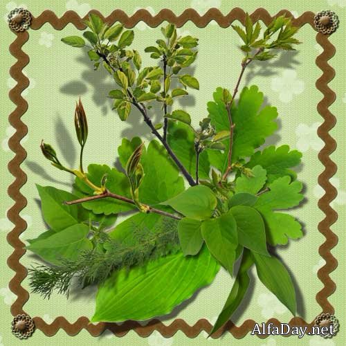 ������� - �������� ������