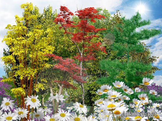 �������, �����, ��������� ������, ��������� �����, ������ - PSD �������