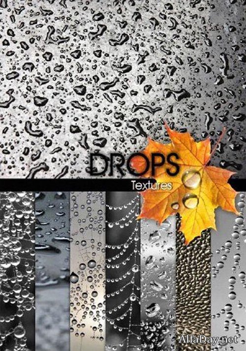 ���� - ����� ����