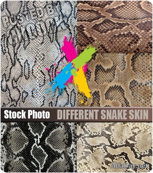 �������� - ��������� ���� ������� ����