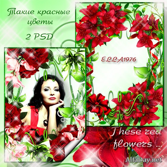 ��������� ��������� - ������� �����