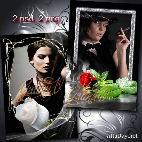 �������� ����� - ������� � ����� ���� �� ������