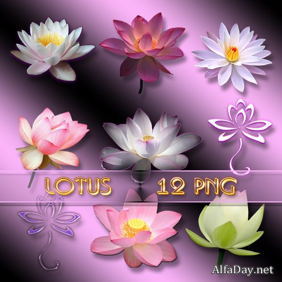 �����, ������� PNG