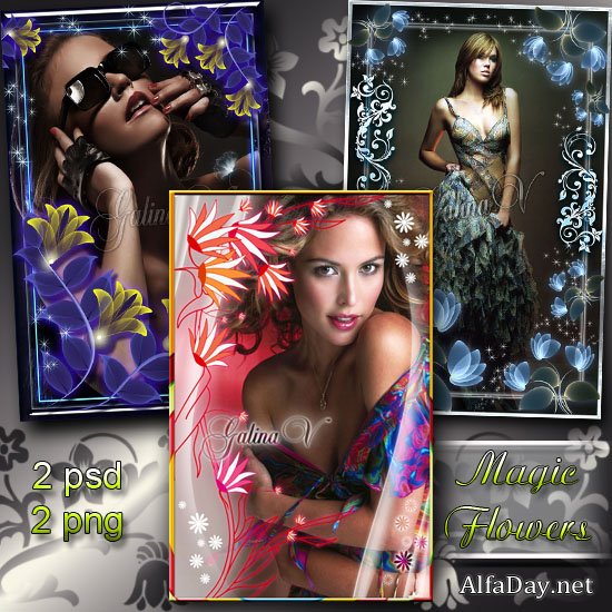 ����� ��� ���� - ����� ������