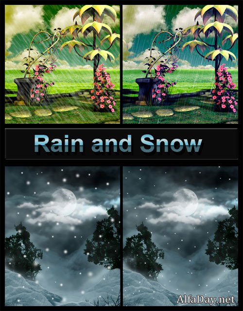 ����� �����, ����