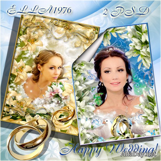 ����������� ��������� ����� - ������� - ��� ������ ������