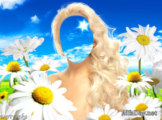 ������� ������ - ���������� ������� � ��������