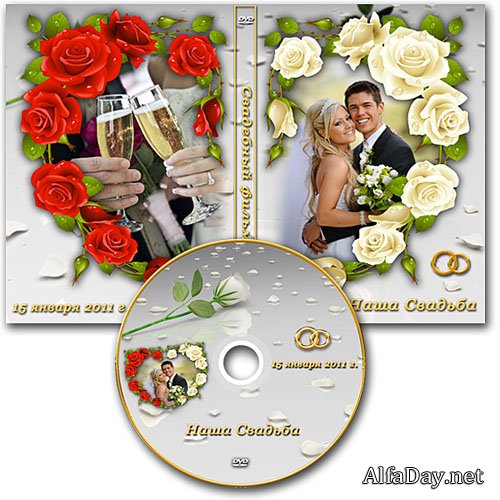 ��������� ������� DVD � ������� �� ���� - ����