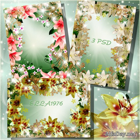 ��������� ��������� - ������ ����� ����� ����������