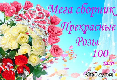 ���� ������� ��������� - ���� �������� ������