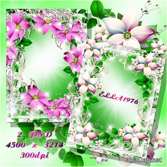 ������ ��������� ����� � ����������� ��������� � ����������� �������