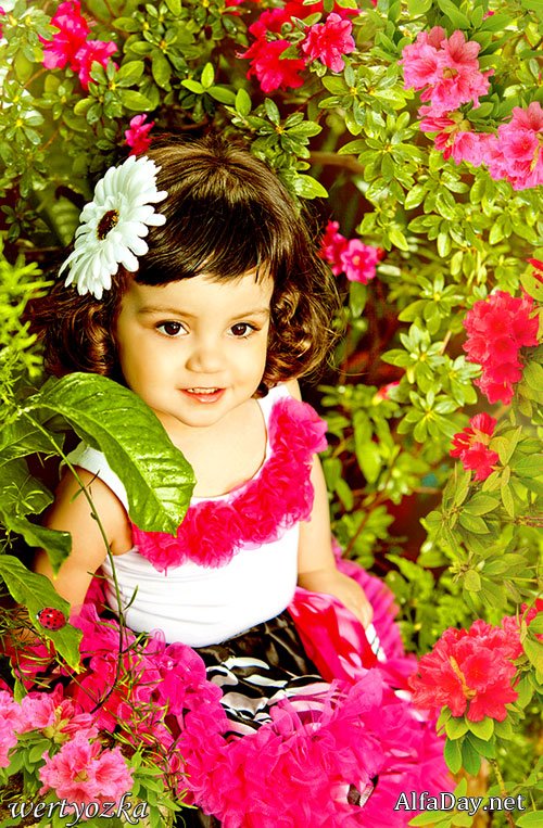 ������� ������ - ������� � ���������� �������