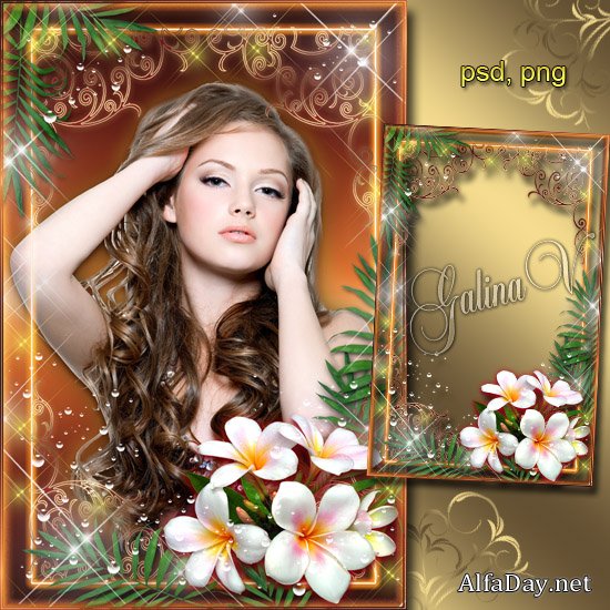 ��������� ����� - ��������, ����������� ������������