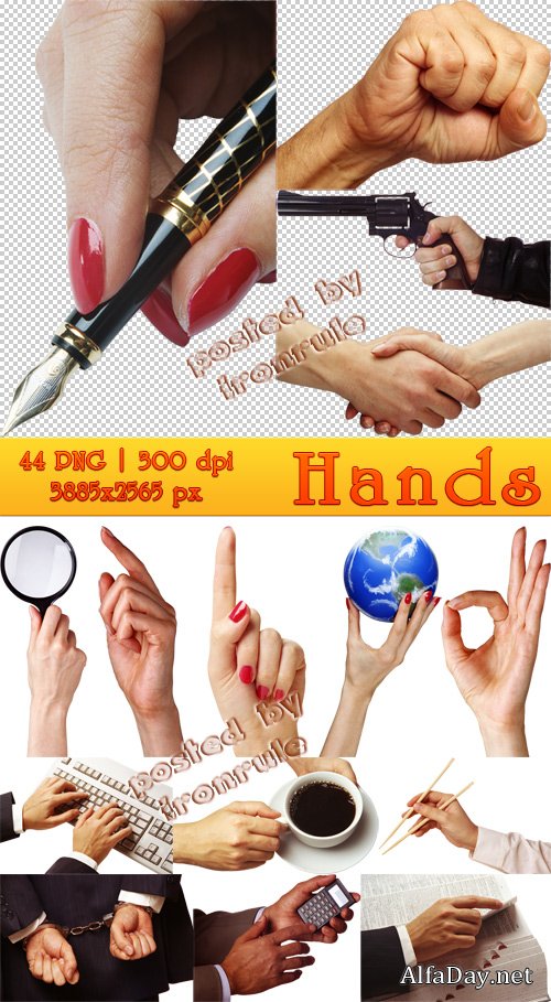 Stock Photos: Hands / ����