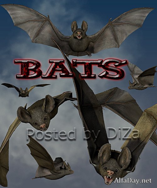 ������� ���� PNG | Bats