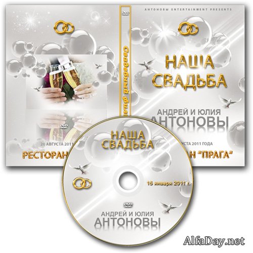 ��������� ������� DVD � ������� �� ���� - �������� ������