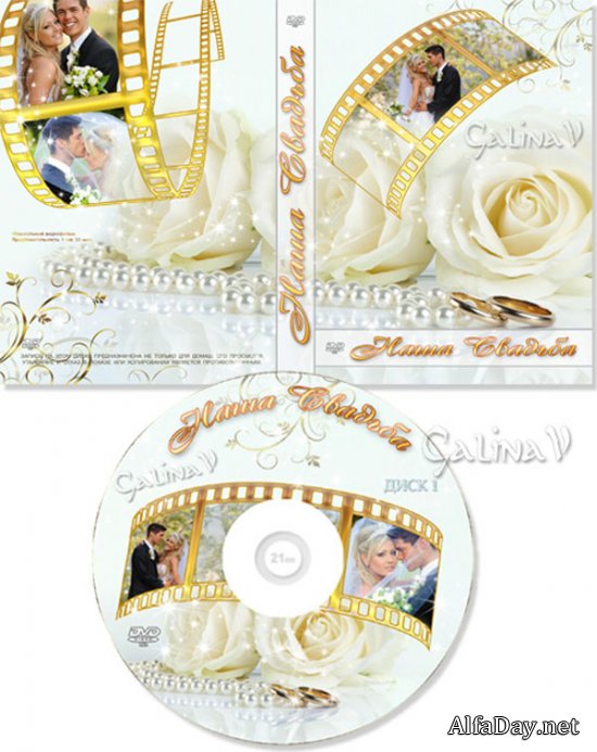 ��������� ������� ��� DVD - ������ ����