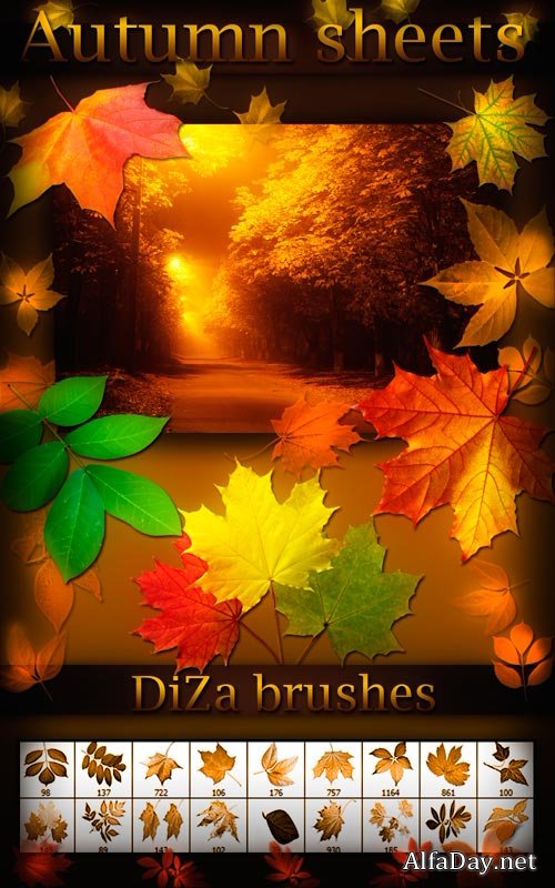 ����� ��� ������� ������� ������ | Autumn leaves brushes