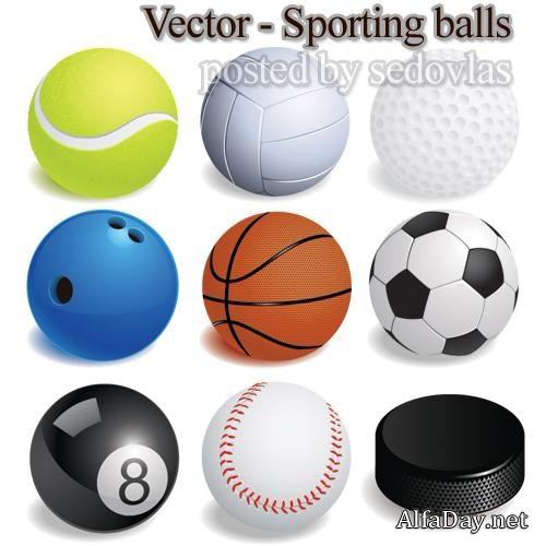 ���� ������ - ���������� ����