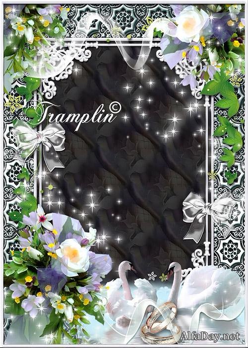 ��������� �����  � ��� ��� ������ ����� �� � ����� ����������