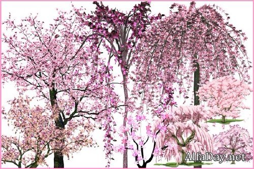 ������� - ������� � ������� �����