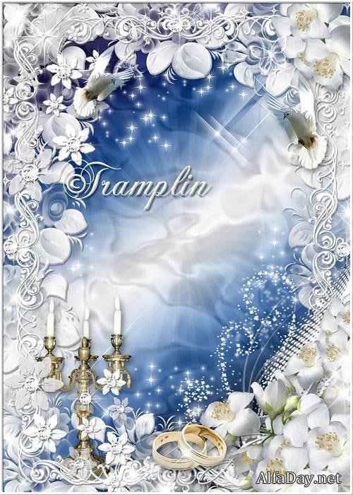 ��������� ����� ��� ���� � ������� ������� ����� ��� ������ ����